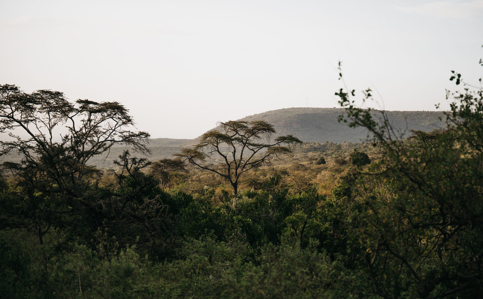 The main lounge at Entumoto Safari Camp